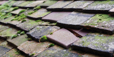 Ingatestone roof repair costs